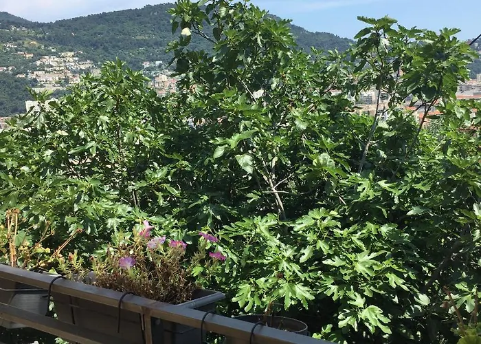 02 Vue Panoramique -wifi- Parking Prive -nice Daire